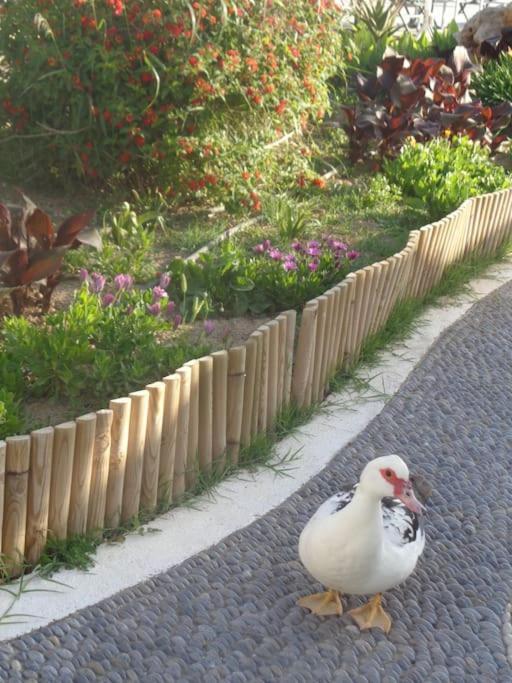 Seashell Apartment Sea View, Castle View 200Metres From The Beach Sitia  Exterior foto